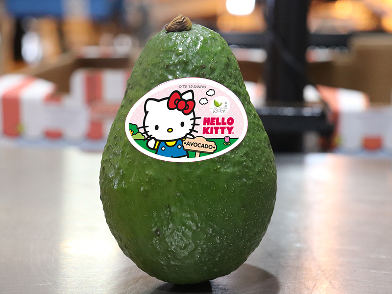 Avocado Hello Kitty